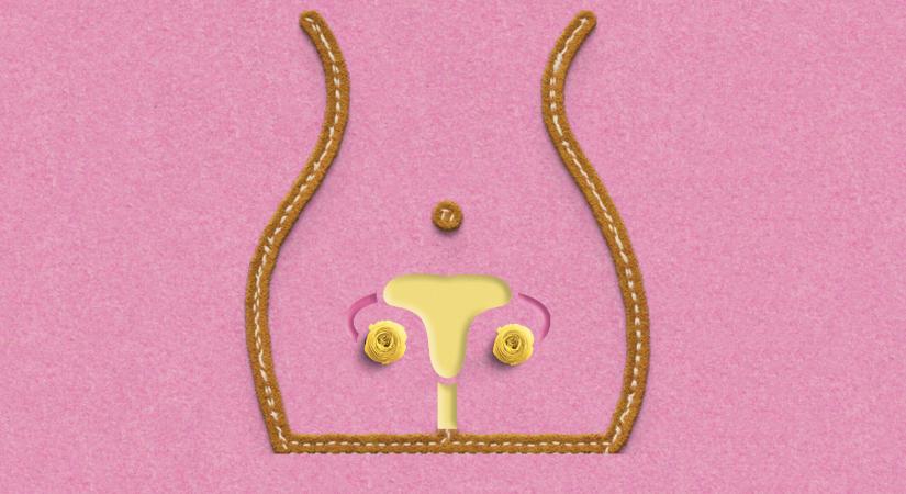 Így változik a hüvely az életkorral – forma, illat, ruganyosság