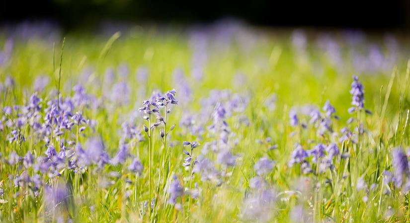 Meglehet a böjtje a mostani időjárásnak