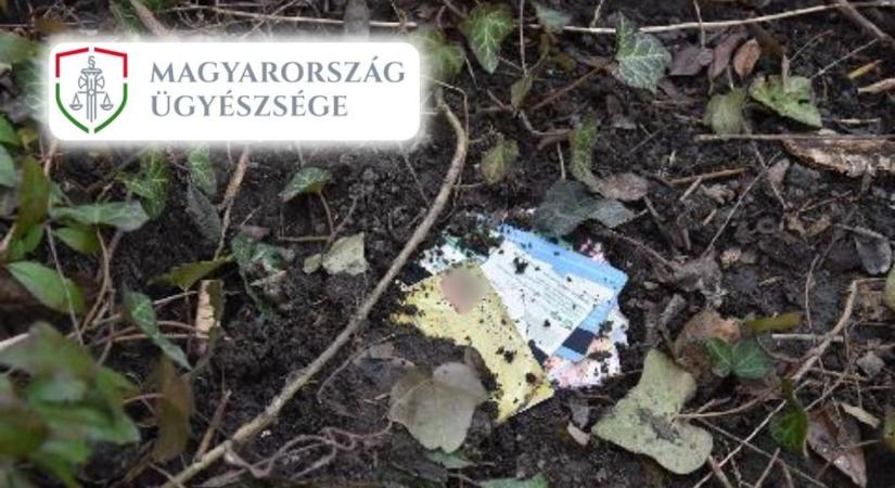 Hátulról csapott le a sétáló nőre – letartóztatták a 20 éves támadót