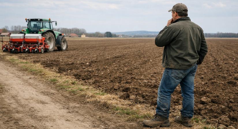 Azért figyeljünk a kukoricára, mert túl sikeres a szója