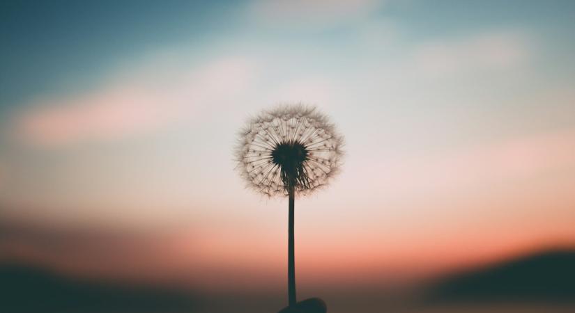 3 spirituális üzenet Eckhart Tolle tanítótól, ami hozzásegít a belső békédhez