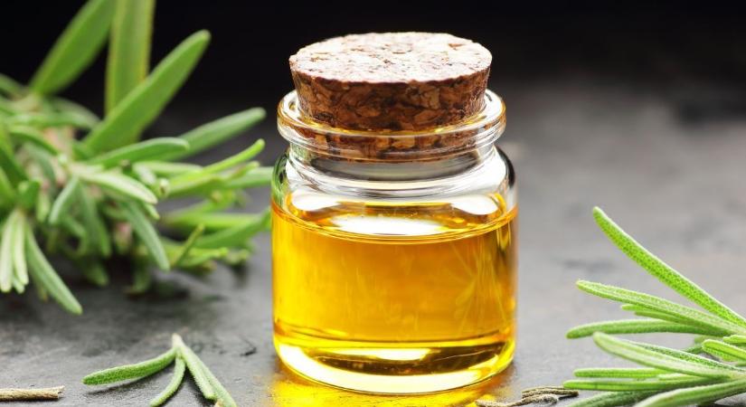 Az ókoriak féltve őrzött titka - ez a filléres gyógynövény megállítja a hajhullást és kisimítja a ráncokat