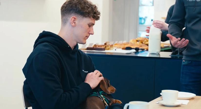 Nem bírtak vele: bentlakásos kiképzésre küldte a PL-sztár az agresszív tacskóját – videó