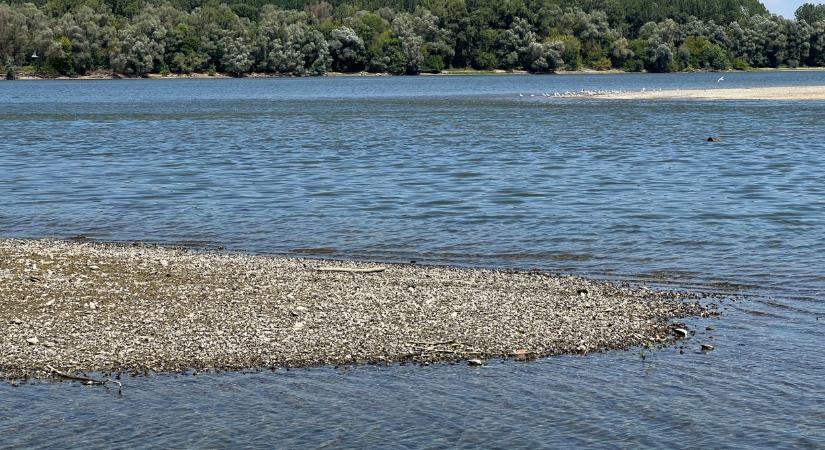 Veszélyes vegyületek szennyezik a Dunát a folyó menti gyáraknál: akár az ivóvízbe is bekerülhetnek