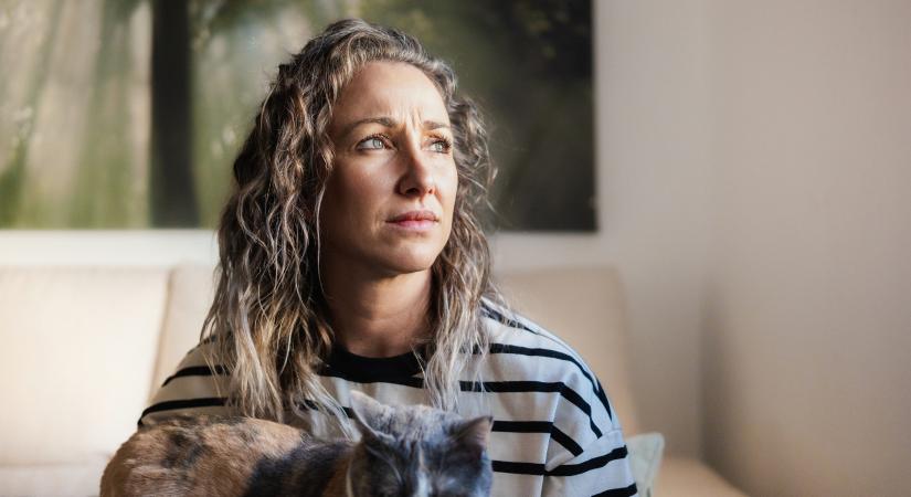 Vajon tudja a macska, hogy szomorú a gazdi?