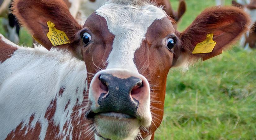 A tüntető gazdák nem tárgyalnak tovább a minisztériummal