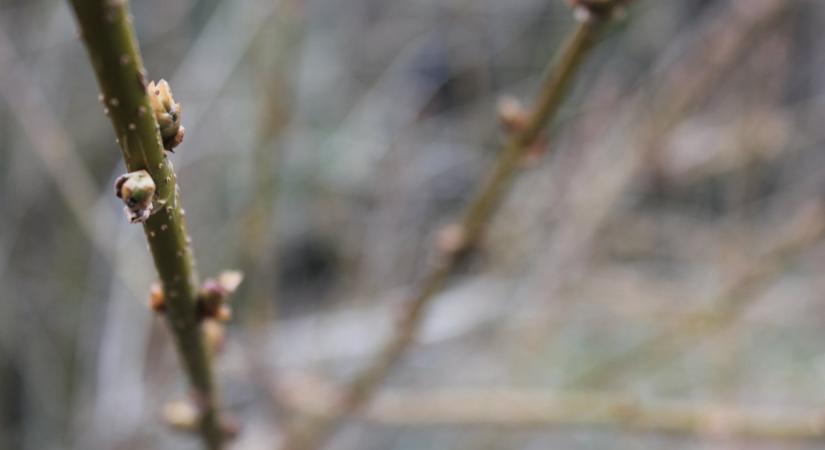 Tóth Ferenc: Kapos, Helmec „havatlanul,” északon, nyugaton „havas pokol”