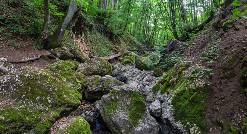 Holdvilág-árok – Budapesthez közeli vadregényes szurdoktúra a Pilisben