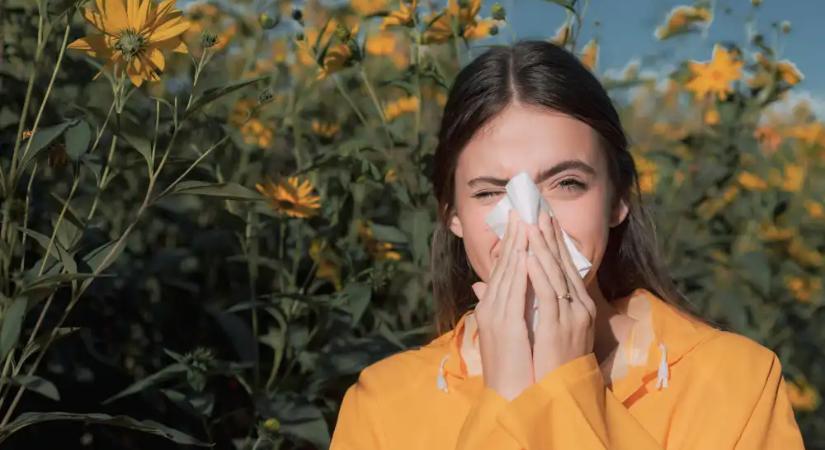 Pollenszezon 2026: Egyre több helyen magas a pollen koncentráció