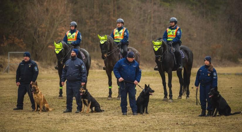 Eltűnt a 17 éves Dávid - segítsünk a rendőröknek keresni!