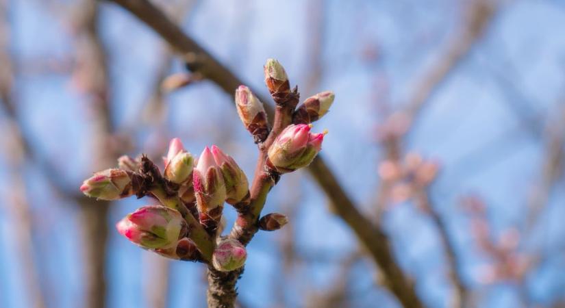Egy hőkupola van felettünk, ennek köszönhető az enyhe idő