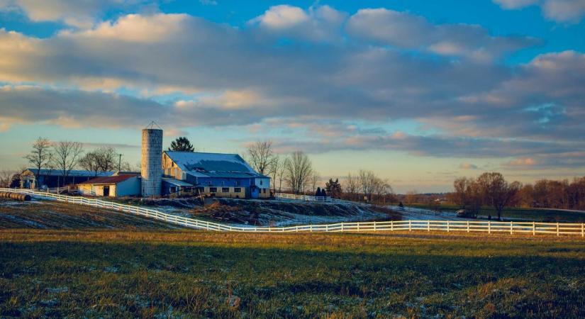 Azt hitted, nehéz elindítani egy gazdaságot? Ezeknél a tanyáknál csak a kulcsot kell átvenni