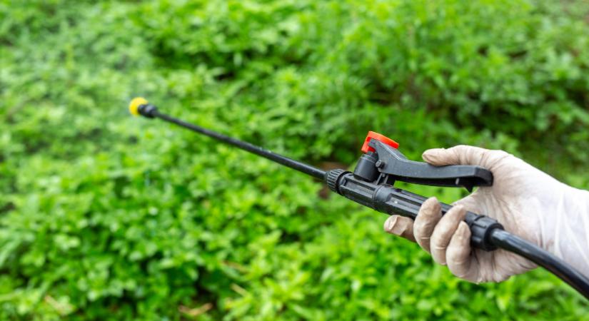 Szabadon kapható a rákkeltő gyomirtó Szerbiában, akár gyerek is megveheti