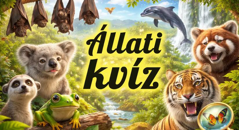 Állati kvíz: Mennyire ismered az állatokat? Ha nem csak a neveik mennek, nyomj rá bátran! Derítsük ki!
