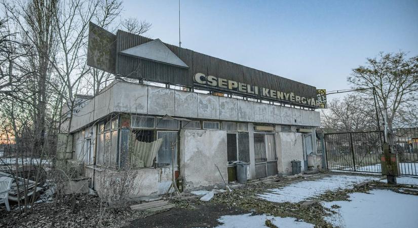 Elvágta játékostársa torkát egy 23 éves férfi az elhagyatott csepeli kenyérgyárnál