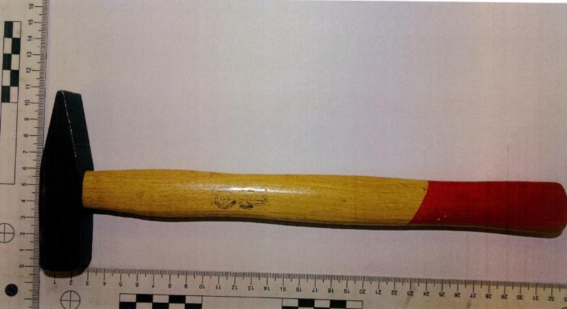 Első fokon 80 óra jóvátételi munkára ítélték a férfit, aki kalapáccsal támadt rá két tiszás aktivistára