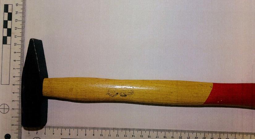 Közérdekű munkára ítélték a tiszások fenyegetőjét