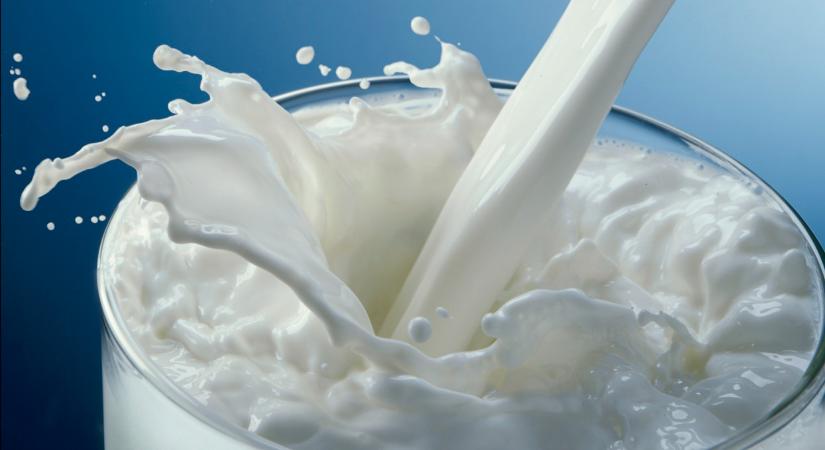 Itt az új tej, ami eláraszthatja a hazai boltokat? Nem is hinnéd, hogyan készül