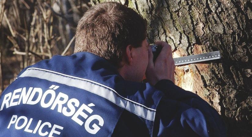 Eltűnt egy tizenegy éves fiú – egy ország aggódik érte
