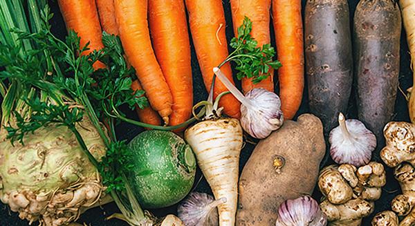 Gyökérzöldségek
