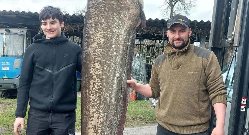 Mintha egy tengeralattjárót húztam volna! – 109 kilós szörny akadt horogra