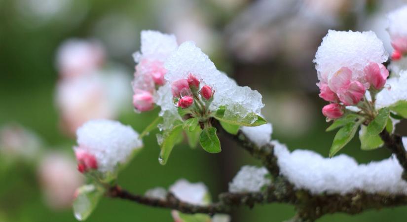 20 fokos tavasz vagy visszatérő tél? Itt a nagy márciusi időjárás-prognózis