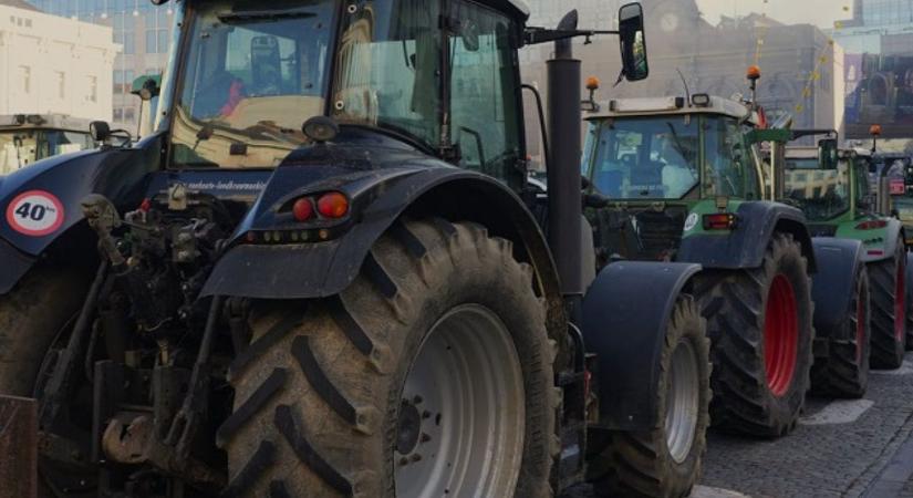 Amikor a munka már csak viszi a pénzt: Miért telt be a pohár a szerb gazdáknál?