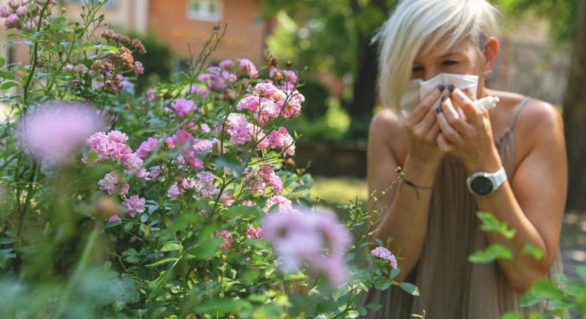 Késik, de hamarosan berobban a pollenszezon