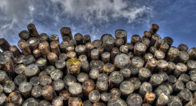 Tűzifát venne? Vigyázzon, hamar a csalók áldozata lehet