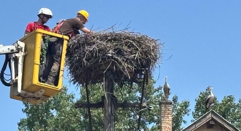 Nemsokára érkeznek a gólyák, 3300 fészket rak ki a Dunántúlon az áramszolgáltató