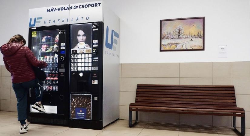 Nem hírverést akar, hanem örömet adni – Különleges felajánlással szépíti Veszprémet egy helyi festő