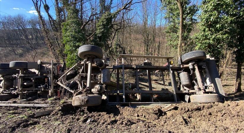 Szalagkorlátnak ütközött és árokba borult egy fát szállító teherautó (fotó, videó)