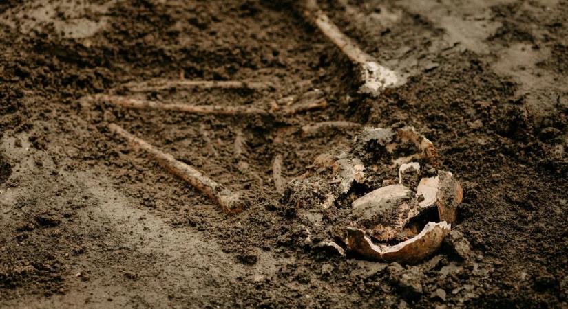 Hihetetlen felfedezést tettek a régészek: rejtélyes sárkány koponyára bukkantak a sivatagban