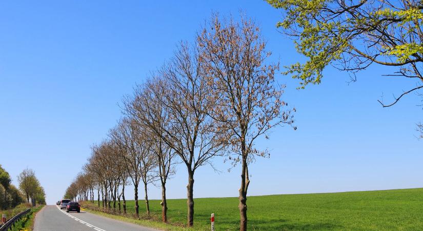 Március első napja kőkemény fordulatot hoz, erre az időjárásra nem készültél fel még