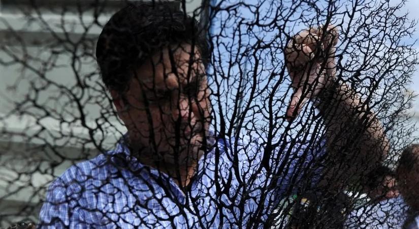 Egy 400 éves korall még a tengerbiológusokat is megdöbbentette