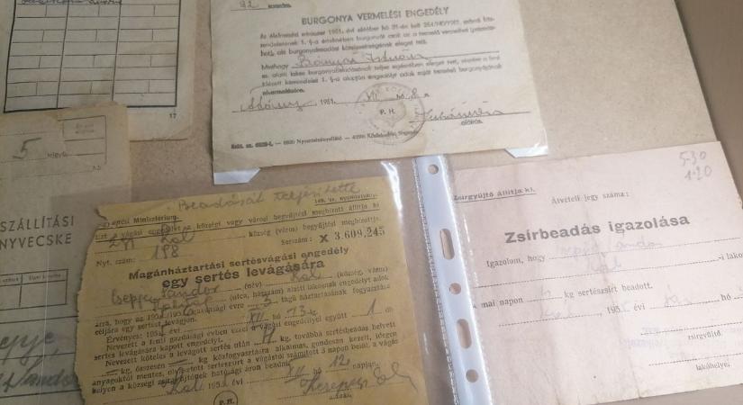 Akit agyonvertek, az nem tudott beszélni, akit nagyon bántottak, az meg nem mert - a legsötétebb sarok titkai