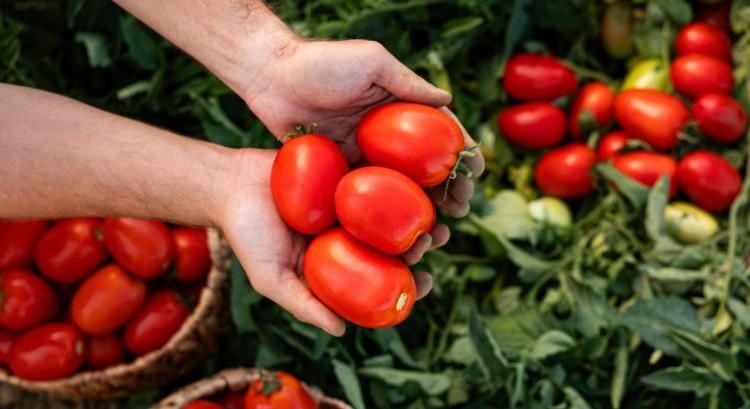 Geotermikus fegyver a paradicsompiacon