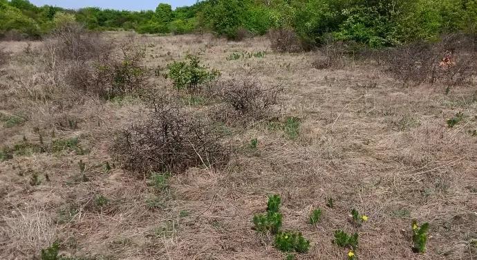 Kiemelt beruházási területté tenné a kormány a természeti értékekben gazdag budaörsi területet, de még a Fidesz jelöltje is tiltakozik ellene