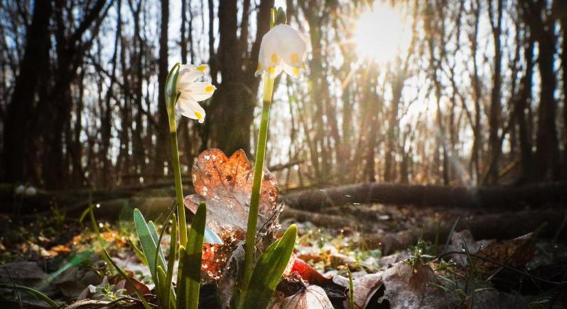 Három tuti hely, ahol tőziketenger fogad