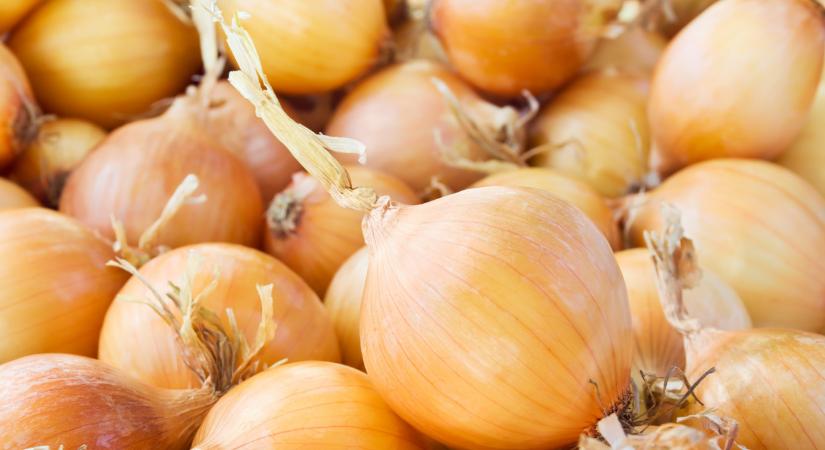 Már most látni, hogy bajok lesznek a hagymával: ezt sokan nem hitték volna