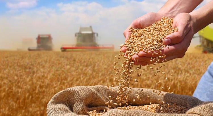 Fordulat az EU-ban: erősödik a mezőgazdaság