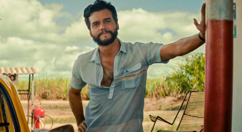 Micsoda élet ez, kár, hogy félteni kell