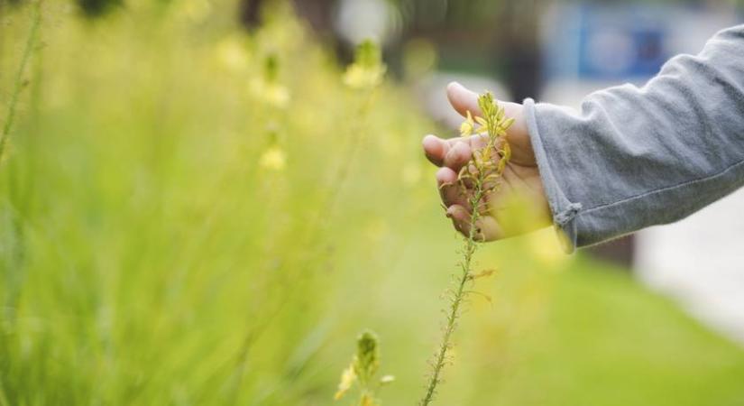 A politika nem csak a felnőttek dolga: a kampányidőszak mély nyomokat hagyhat a gyerekekben