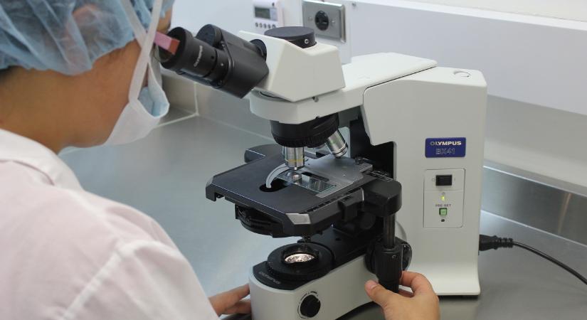 Rekordmennyiségű KF projektet támogatott a HIPA