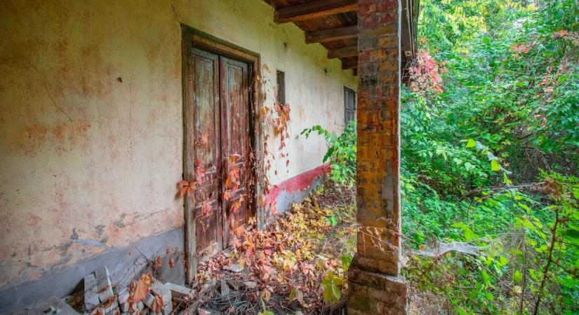 Rácsos kiságy, poros cumisüvegek és Singer varrógép a sarokban – mindent hátrahagyva tűnt el otthonából a méhész és családja