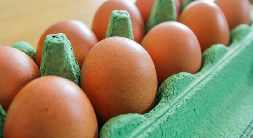 Ha tojást készülsz venni, ezt tudnod kell: meglepetés érhet a boltokban