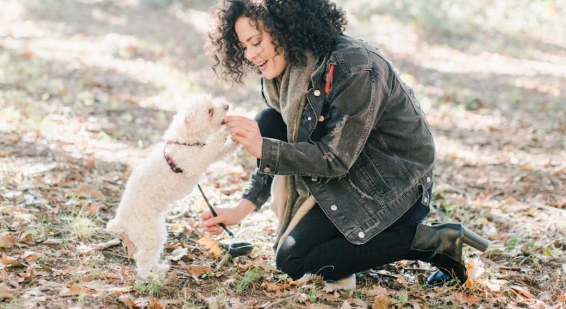 A kutyád tényleg hozzád kötődik, vagy csak megszokásból van melletted? Így derítheted ki