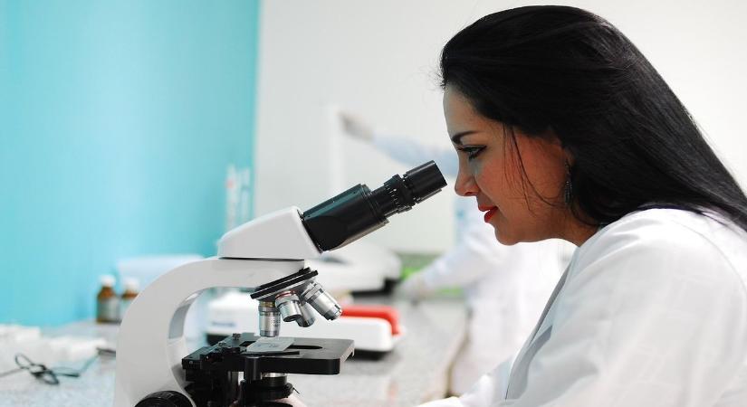 Esküsznek erre a titokzatos anyagra a hosszú élet kutatói – ebben a gyümölcsben megtalálod