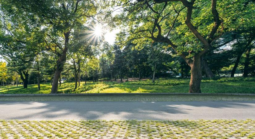 Szintet lép a kikapcsolódás, megújul a település közösségi parkja