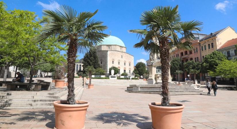 Elő a napszemüvegekkel! – Ilyen lesz a holnapi időjárás